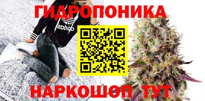 индика Пушкино