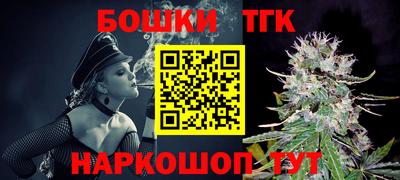 индика Пушкино