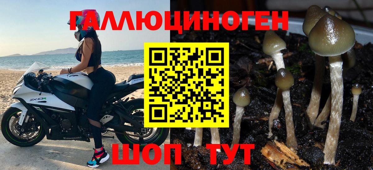 Галлюциногенные грибы Magic Shrooms Тайшет